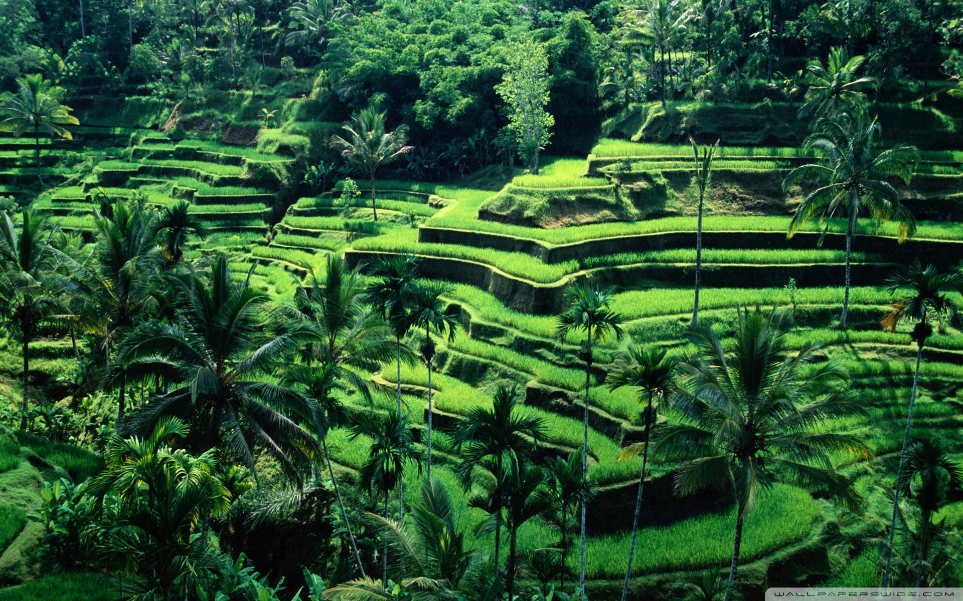 Bali, Indonesia